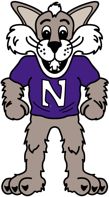 Northwestern Wildcats 1998-Pres Mascot Logo iron on transfers for clothing